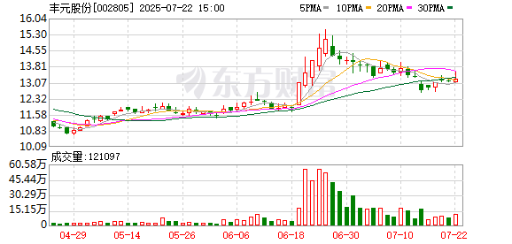 丰元股份：公司及控股子公司不存在逾期债务对应的担保