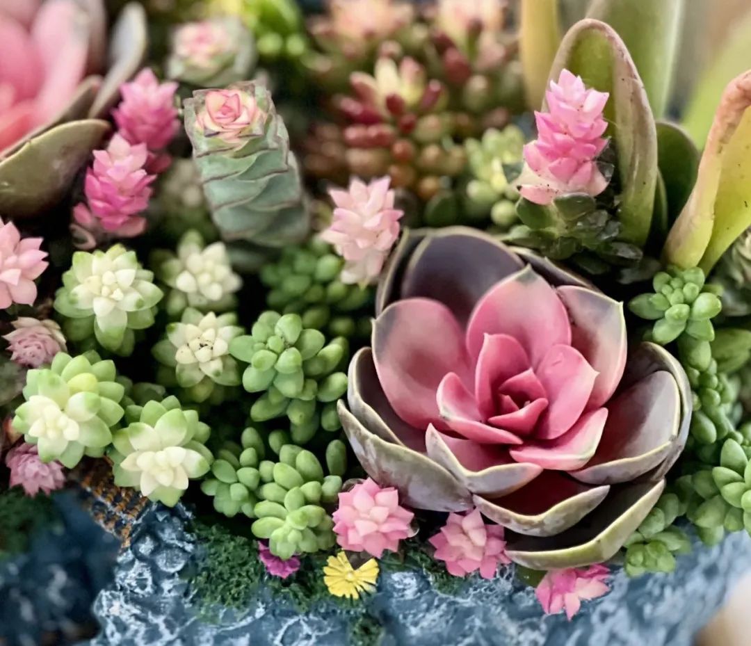 中国，下一个！