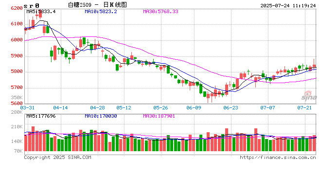 光大期货:7月24日软商品日报