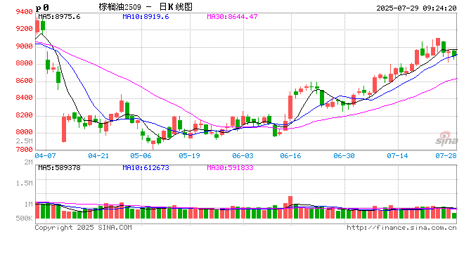 棕榈油:短期调整不改长期趋势