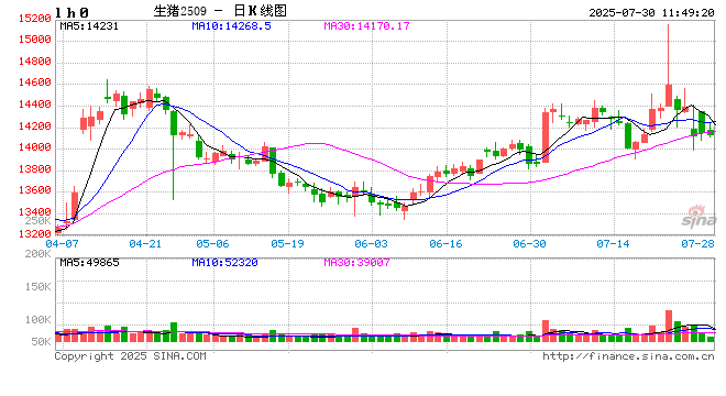 河南猪肉价格跌入谷底！8月能否逆袭？