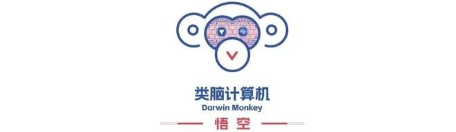 全球首台:浙大“悟空”类脑计算机问世,神经元数量超 20 亿