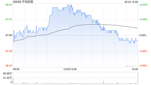 大摩：中电控股派息持平 大部份地区业务盈利受压
