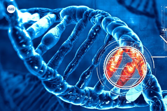 华大基因收到股东来信：挽救我生命的华常康®，是最好的股东红利