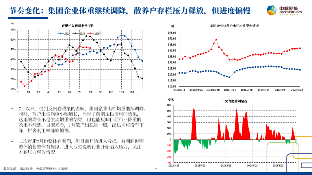 【市场聚焦】生猪：张弛之道