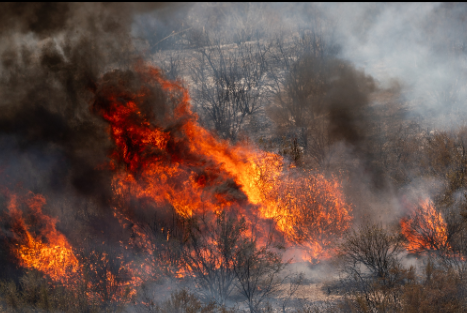 美国西部将遭遇火灾、风暴及极端高温天气