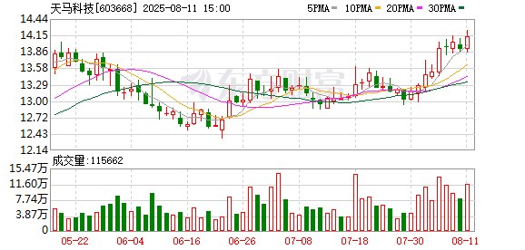 天马科技：无逾期对外担保