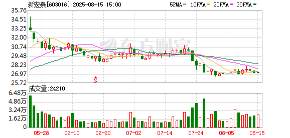 新宏泰：2025年半年度公司实现营业收入307709054.77元