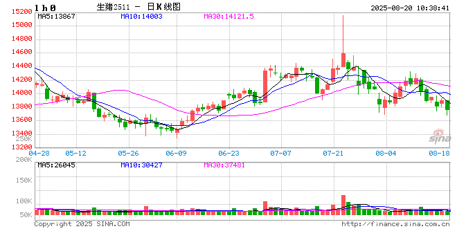 【市场聚焦】生猪:2025年7月生猪销售数据解读