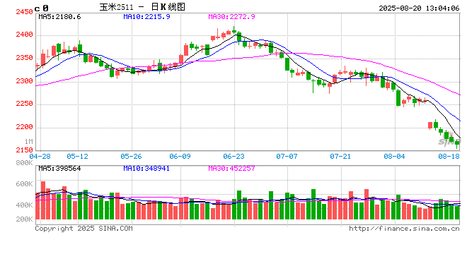 “玉”见未来:东北新粮价格要“高开”?