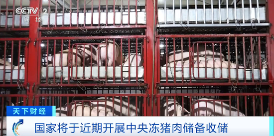 猪肉价格,大降!国家出手→