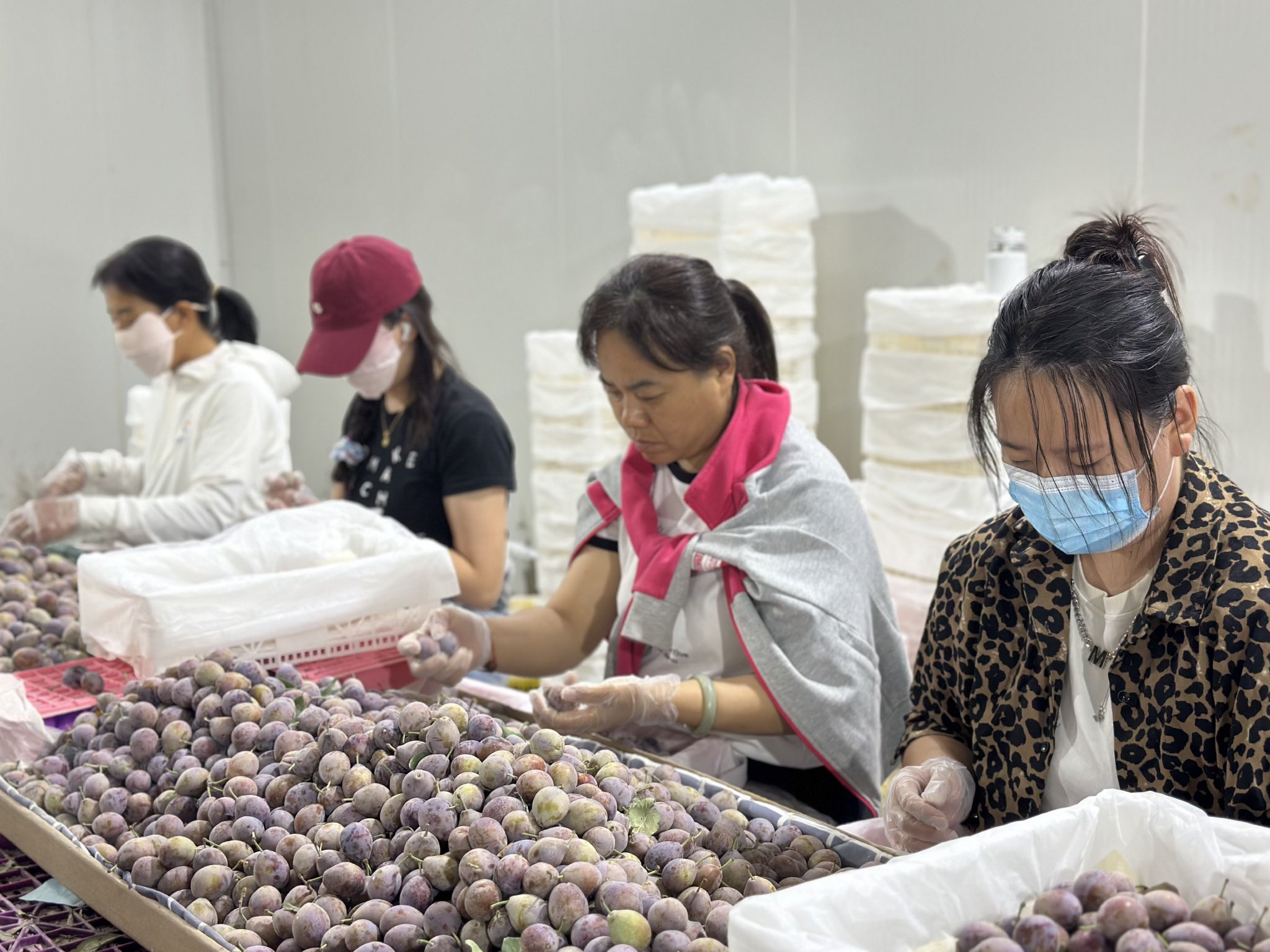 2万月薪吃不起百果园？这些进口高端水果正在被国产平替掉