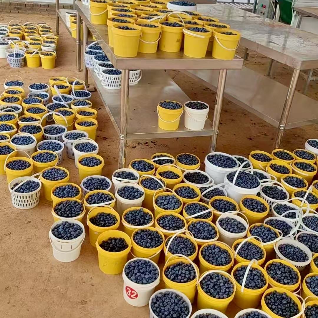 2万月薪吃不起百果园？这些进口高端水果正在被国产平替掉