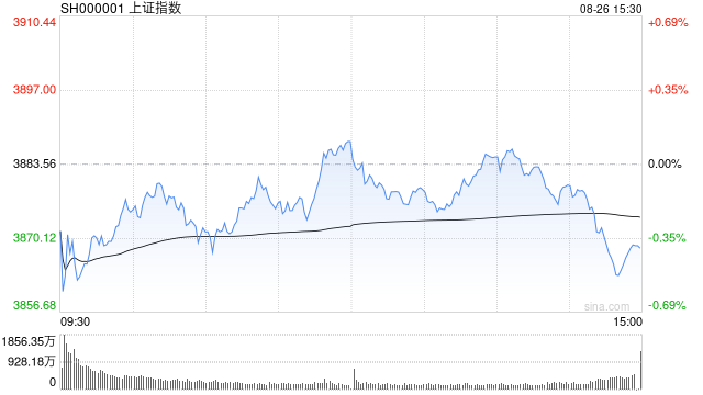 收评：沪指、创指收跌 猪肉概念股持续强势