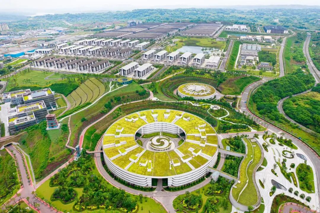 上半年营收164.54亿元！泸州老窖稳健应对周期，高股息与数字化转型成焦点