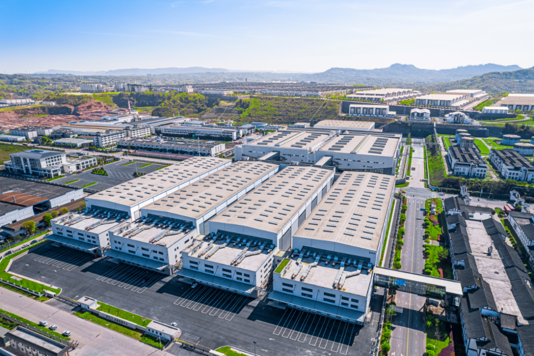 上半年营收164.54亿元！泸州老窖稳健应对周期，高股息与数字化转型成焦点