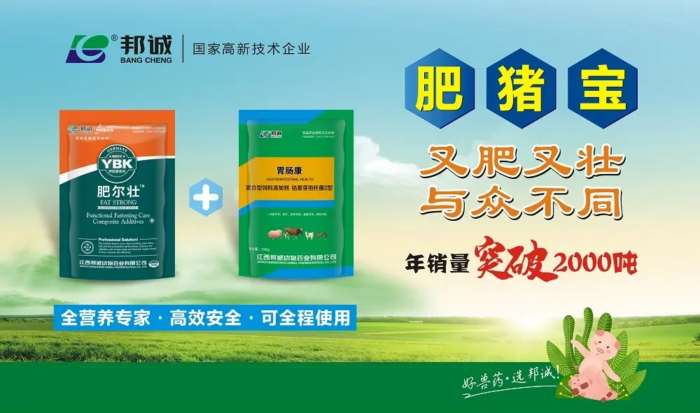 有猪企“狂赚”！有猪企“暴雷”！养猪业真正的考验才刚刚拉开帷幕！