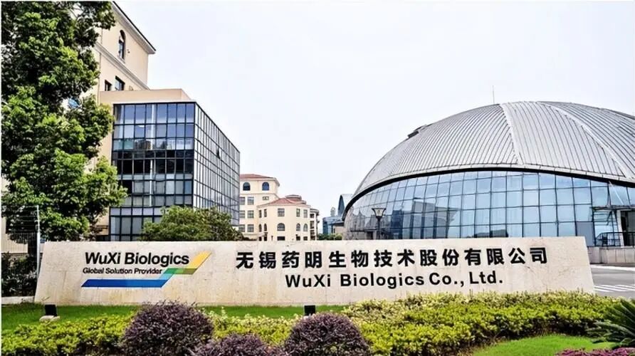 药明生物财报解读：业绩狂奔，全球分布式的供应链可应对各种不确定