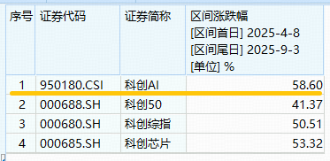 牛市急刹车？寒武纪领跌超13%，后市怎么看？科创人工智能ETF重挫5%，资金积极抢筹589520！