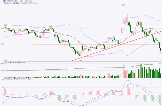 生猪：现货低迷，远月探底