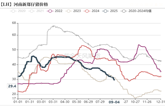 生猪：现货低迷，远月探底