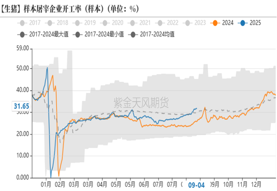 生猪：现货低迷，远月探底