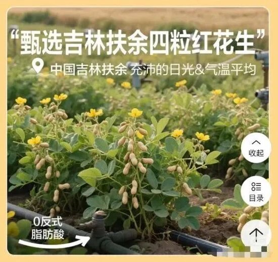 股权收购案迎新进展，良品铺子半年亏超9300万