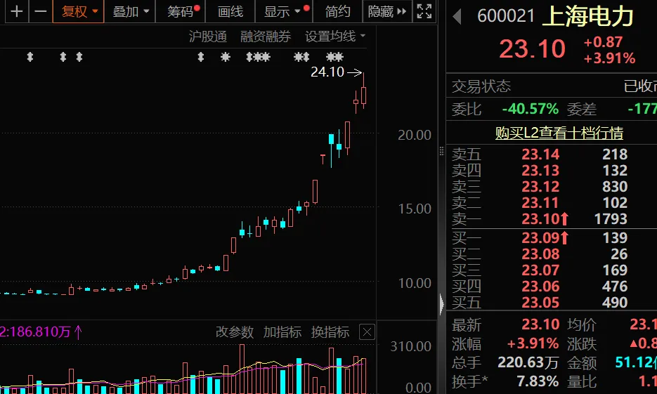 600021,终止并购!上海电力终止长达9年的跨国并购案