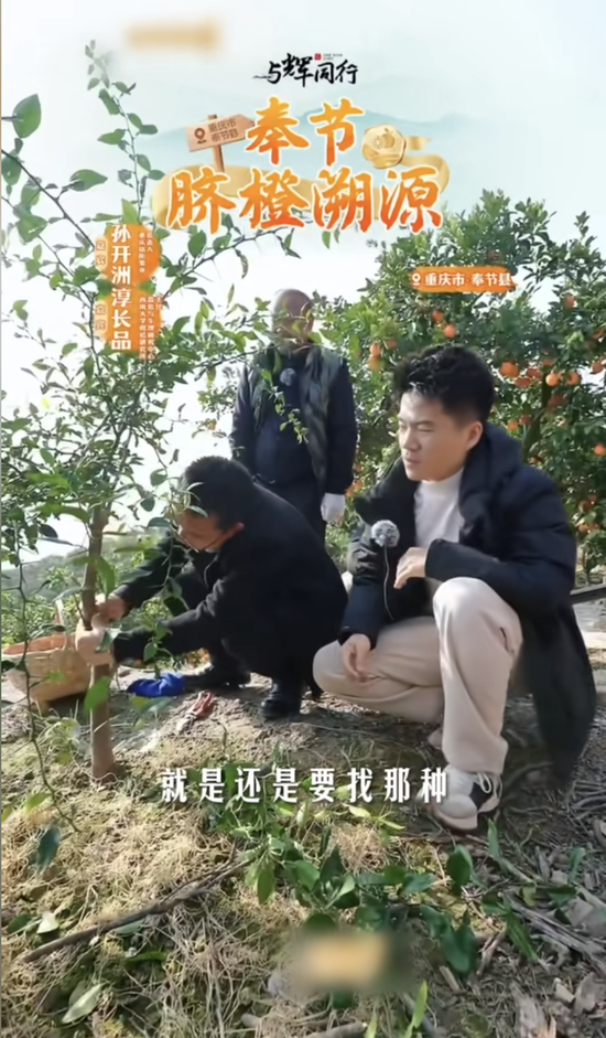 董宇辉：商业的终点是人心 价值比价格更动人