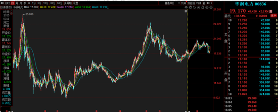 华安基金曲扬旗下产品牛市行情仍亏40%，基民质疑买白酒成瘾