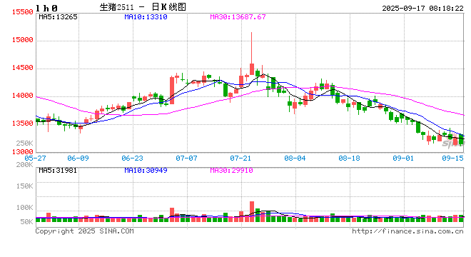 生猪、玉米、鸡蛋期货周评：供应压力下的交易策略