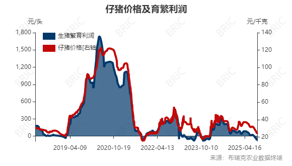 生猪、玉米、鸡蛋期货周评：供应压力下的交易策略