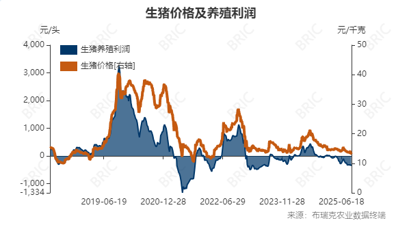 生猪、玉米、鸡蛋期货周评：供应压力下的交易策略