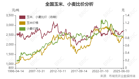 生猪、玉米、鸡蛋期货周评：供应压力下的交易策略