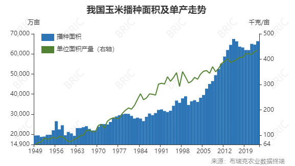 生猪、玉米、鸡蛋期货周评：供应压力下的交易策略