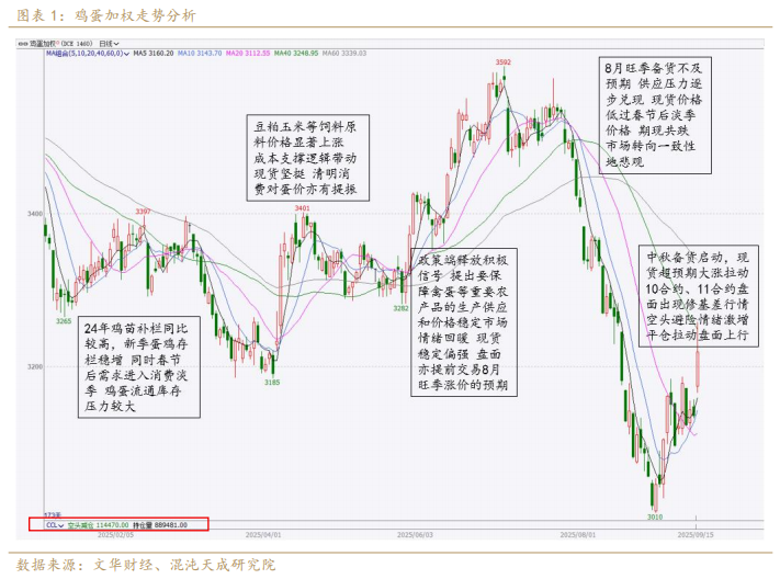 【专题报告】鸡蛋：现实强弱转换的拐点临近