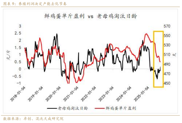 【专题报告】鸡蛋：现实强弱转换的拐点临近