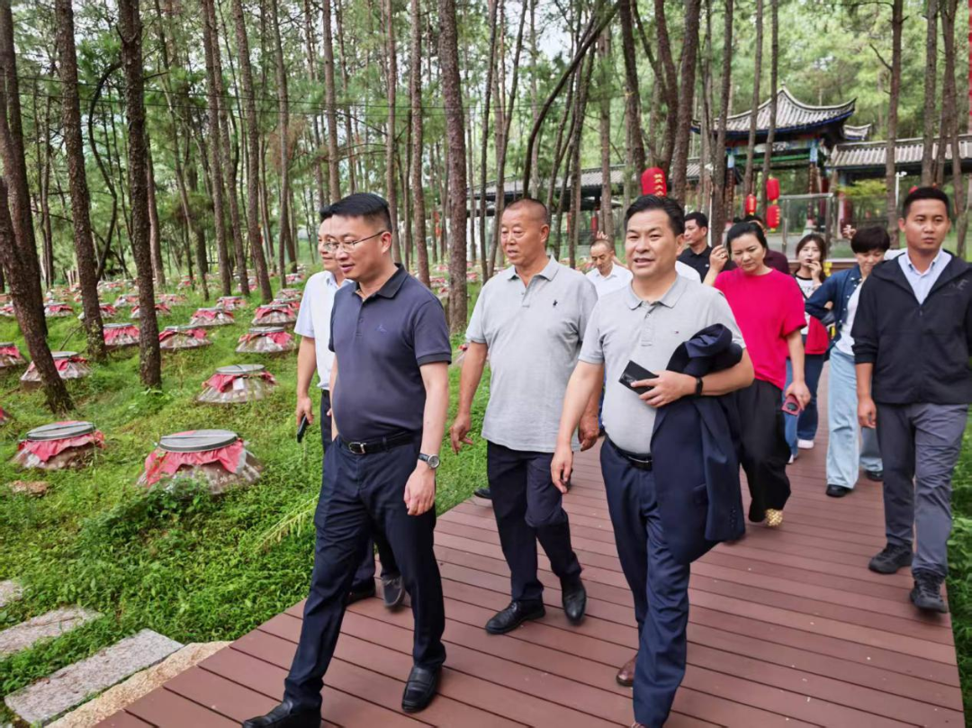 产业互补 市场互通 共促区域经济协同发展——昆明市工商联与昆明市大理商会联合开展“四走进”活动