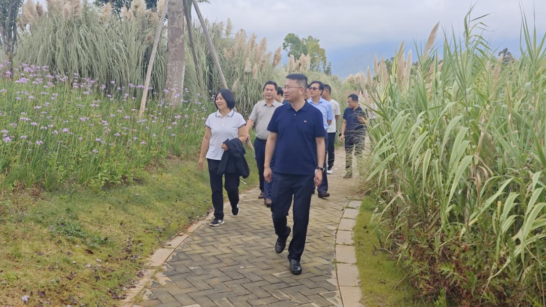 产业互补 市场互通 共促区域经济协同发展——昆明市工商联与昆明市大理商会联合开展“四走进”活动