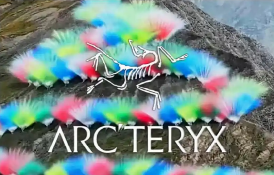 始祖鸟成“炸山鸟”，致歉信被发现改措辞，安踏“长期主义”翻车