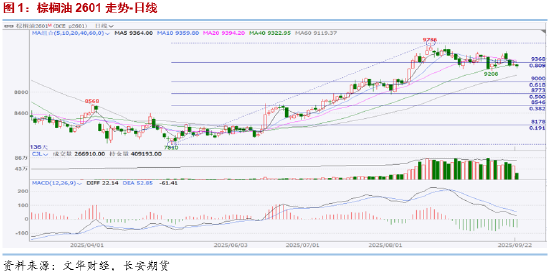 长安期货胡心阁：阿根廷出口税暂停&美生柴不确定因素增加 油脂暂弱势对待