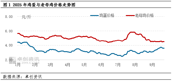 “蛋”说无妨：9月老母鸡价格为何背离鸡蛋价格涨势？