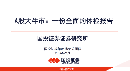 A股大牛市:一份全面的体检报告