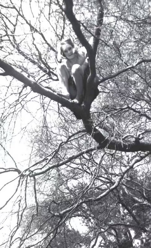 珍·古道尔去世:她开始了下一场伟大冒险