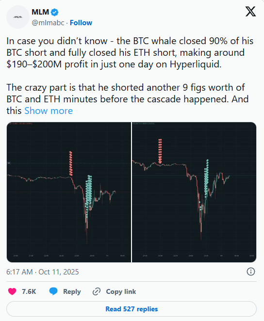 币圈“血流成河”前夕，神秘“巨鲸”精准做空，30分钟狂赚2亿美元！