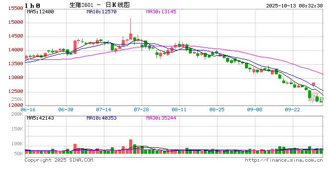 生猪市场旺季不旺 周期磨底或将持续