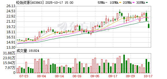 松炀资源龙虎榜数据（10月17日）