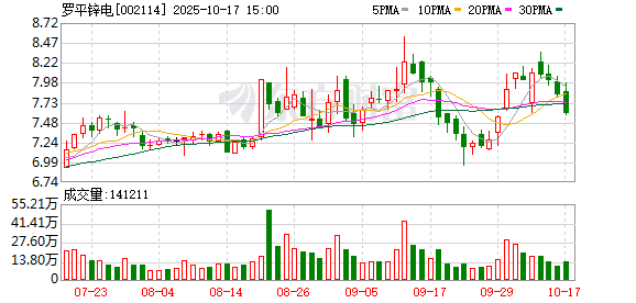 罗平锌电：公司总经理代行财务总监职责