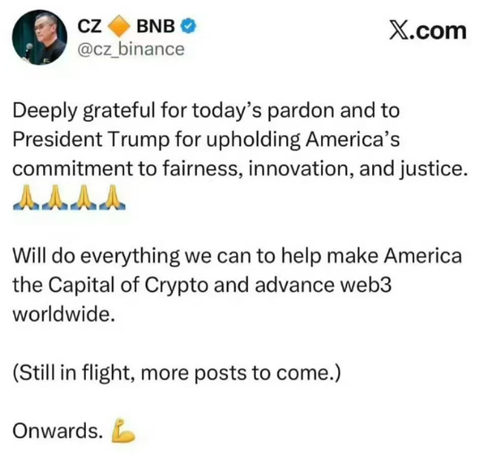 赦免赵长鹏，谁是大赢家？