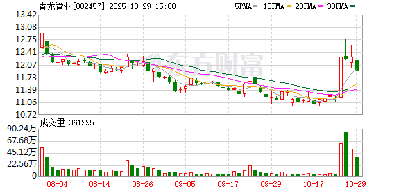 青龙管业：无逾期担保情况
